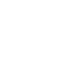 Lottery Parakeet Logo